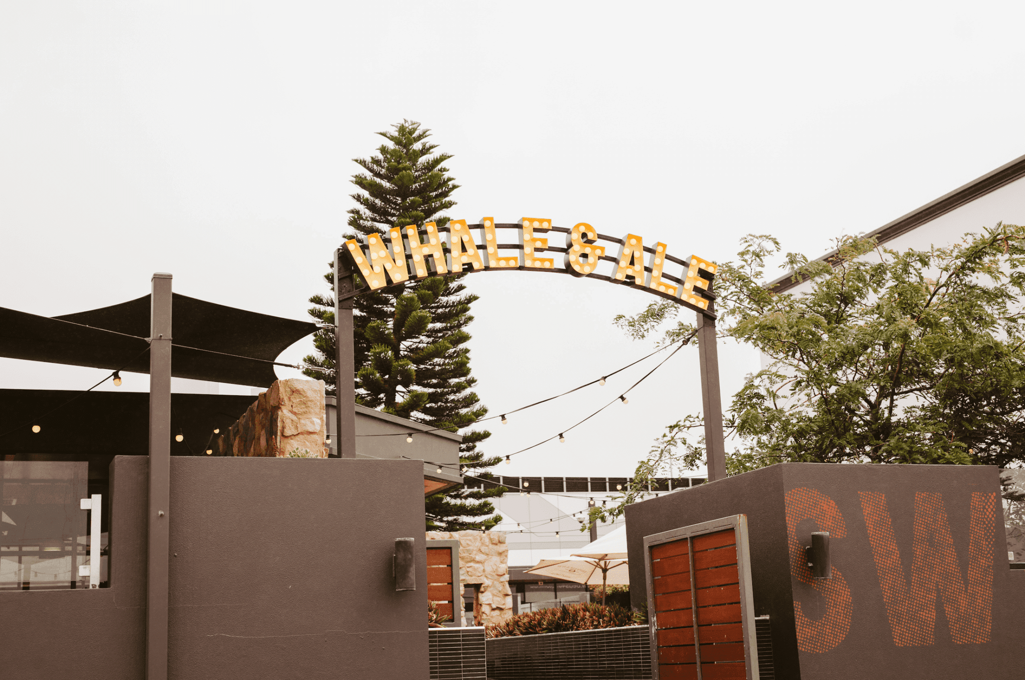 Screen-Shot-2022-12-02-at-12.45.38-pm